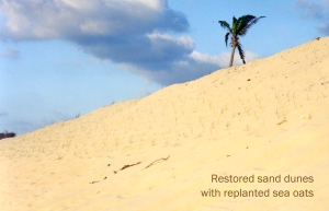 restored_dunes